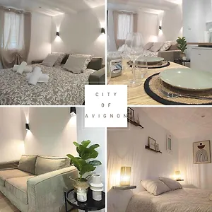 Le Cosy En Intramuros Avignone